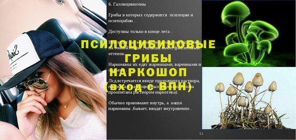 Альфа ПВП Магас